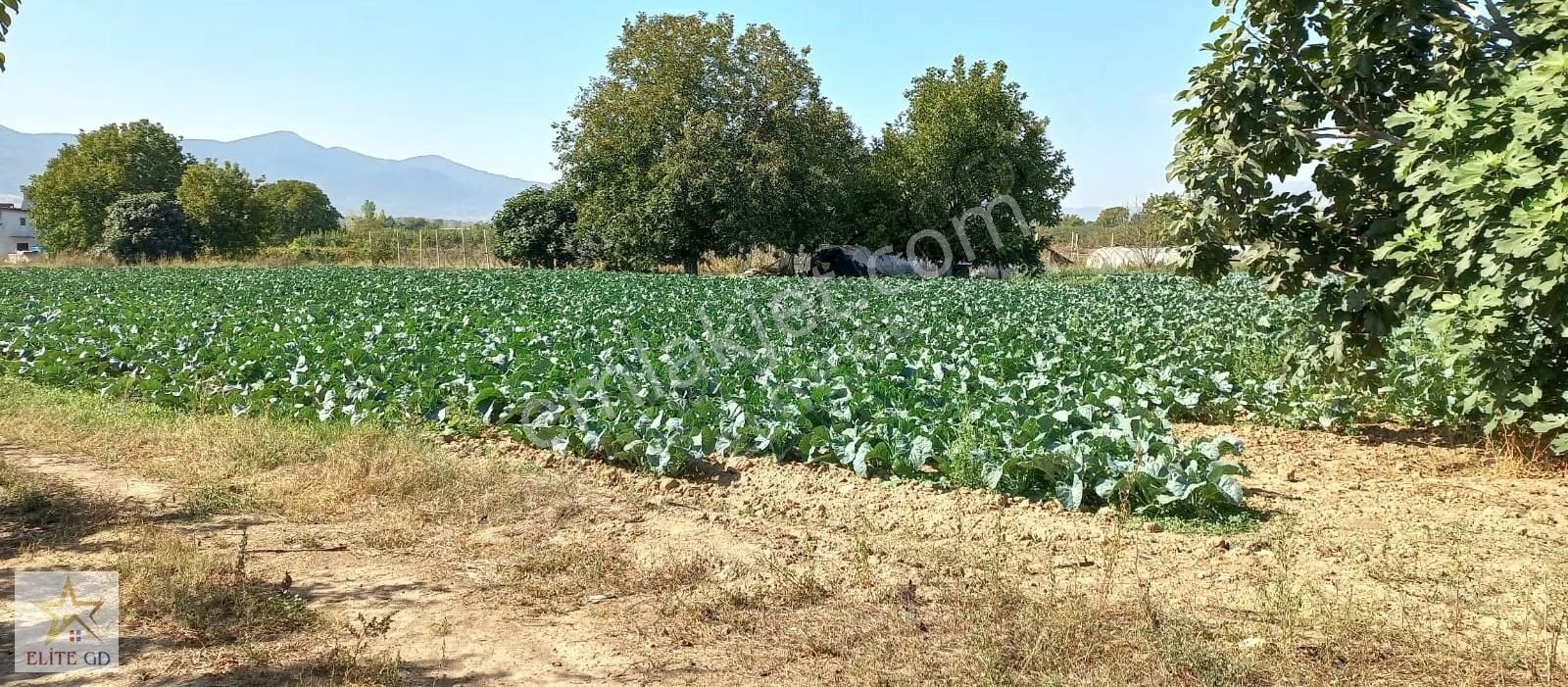 Pamukova Turgutluda Yatırımlık Ana Yola Yakın Fırsat Arazi - Görsel 15