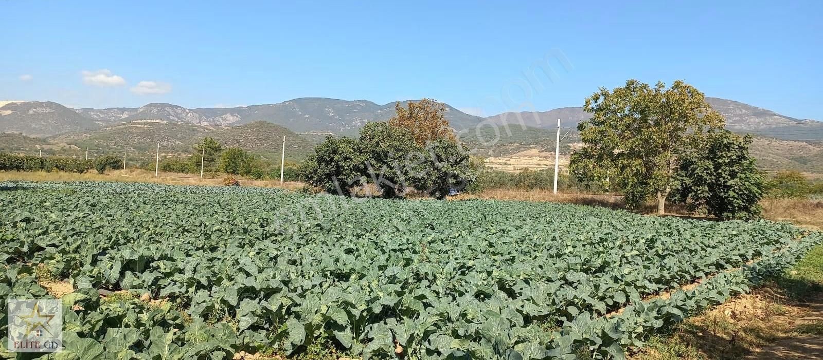 Pamukova Turgutluda Yatırımlık Ana Yola Yakın Fırsat Arazi - Görsel 8