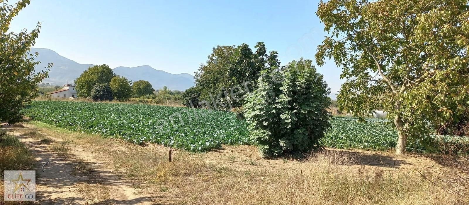 Pamukova Turgutluda Yatırımlık Ana Yola Yakın Fırsat Arazi - Görsel 6