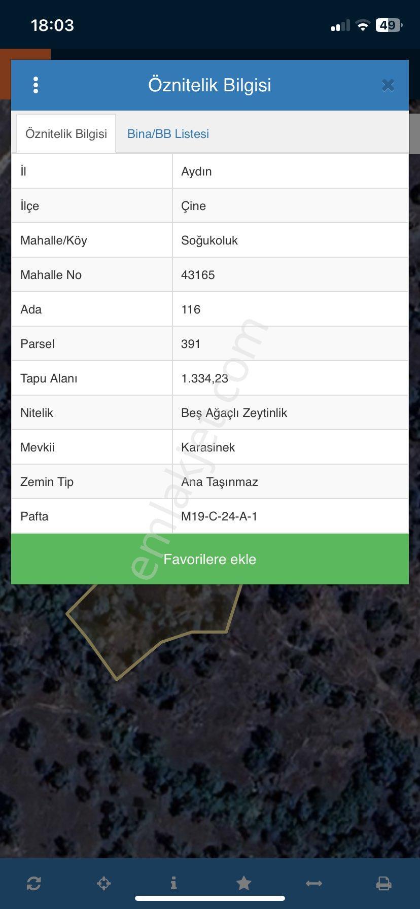 Aydın Çine De Satılıkhobi Bahçelik Zeytin Bahçesi - Görsel 3