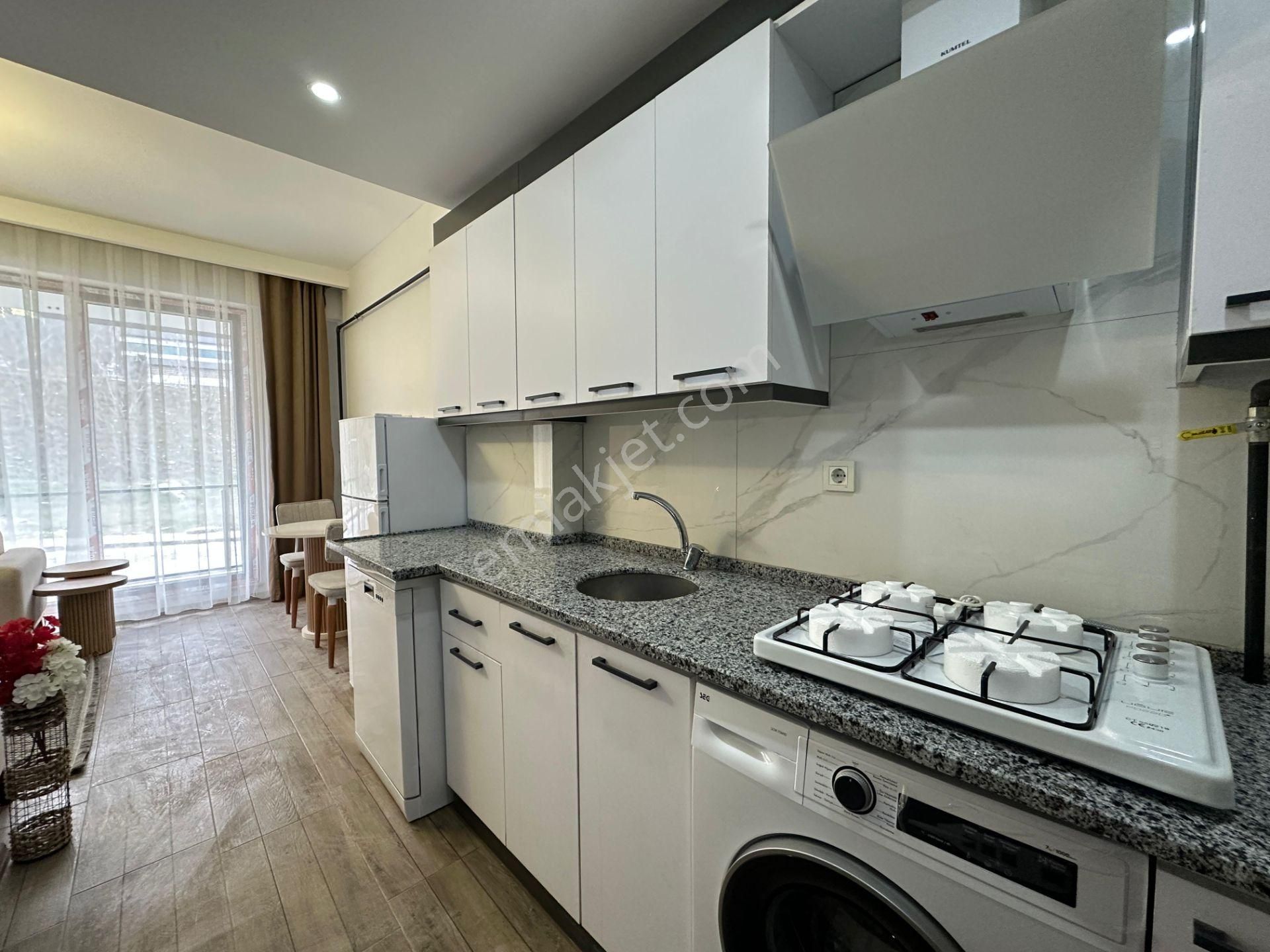 Zeytinköy Mahallesinde Balkonlu Full Eşyalı 1.5+1 Fırsat Apart A204 - Görsel 4