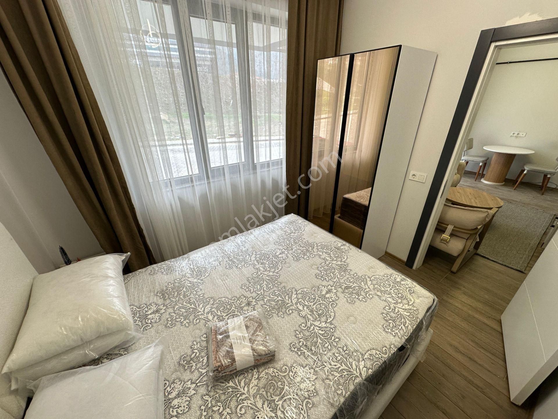 Zeytinköy Mahallesinde Balkonlu Full Eşyalı 1.5+1 Fırsat Apart A204 - Görsel 8