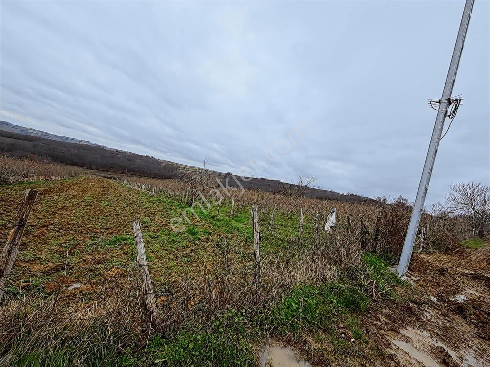 Kandıra Bollu'da Denize Yakın, Yatırımlık 1300 M2 Fırsat - Görsel 5