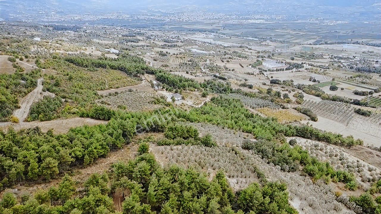 Ekşioğlu Gyd'den Sakarya Pamukovada 3549 M2 Fırsat Zeytinlik - Görsel 9