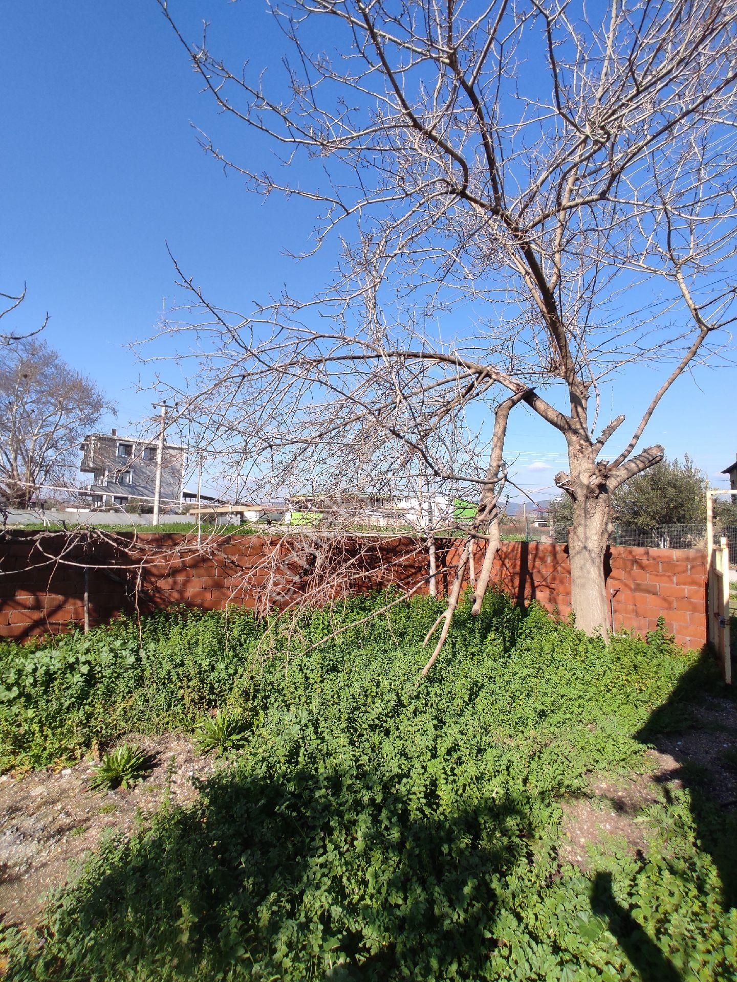 Köy Yaşamı Arayanlara...müstakil Tapulu Bahçe... - Görsel 19