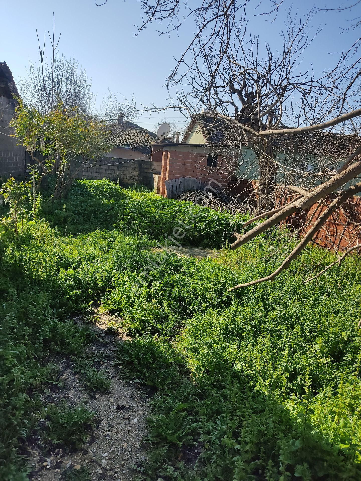 Köy Yaşamı Arayanlara...müstakil Tapulu Bahçe... - Görsel 22