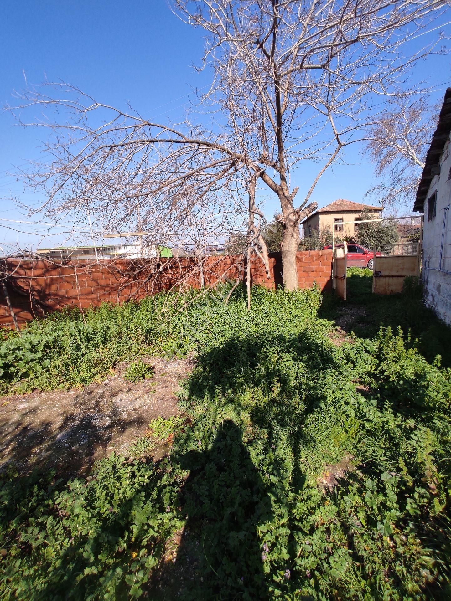 Köy Yaşamı Arayanlara...müstakil Tapulu Bahçe... - Görsel 2