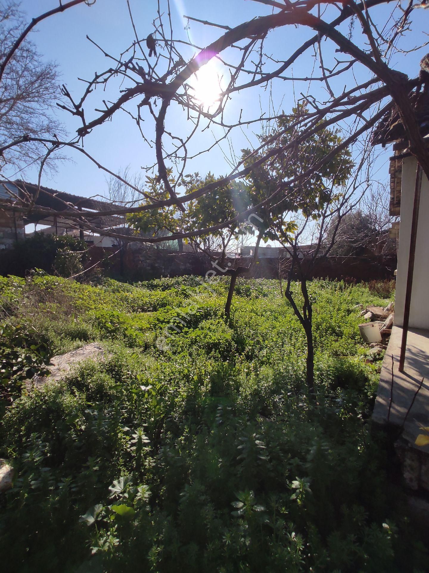 Köy Yaşamı Arayanlara...müstakil Tapulu Bahçe... - Görsel 7