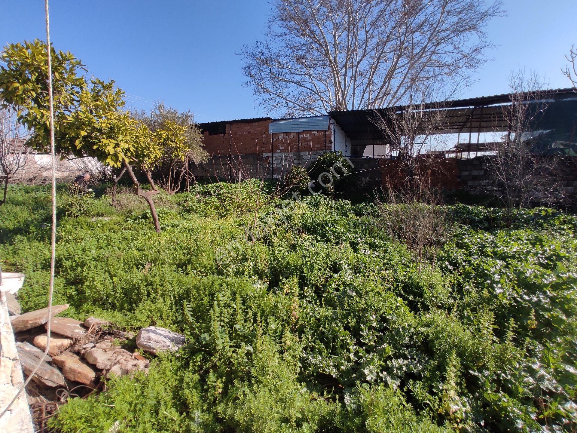 Köy Yaşamı Arayanlara...müstakil Tapulu Bahçe... - Görsel 13