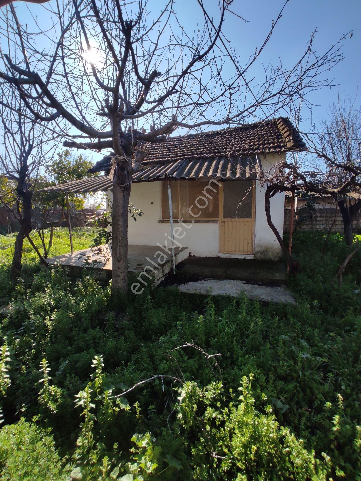 Köy Yaşamı Arayanlara...müstakil Tapulu Bahçe... - Görsel 4