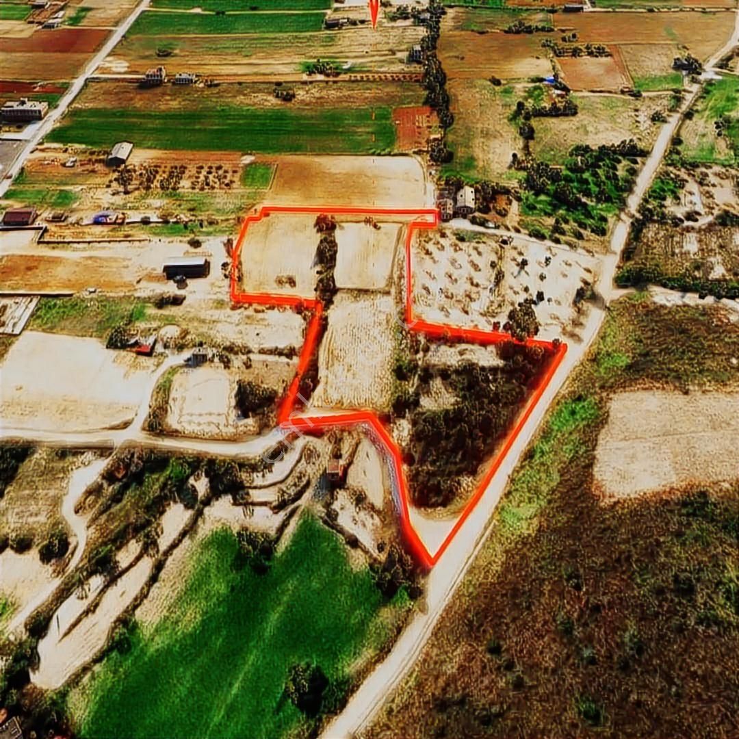 Çeşme Musallada Satılık Muhteşem Tarla - Görsel 2