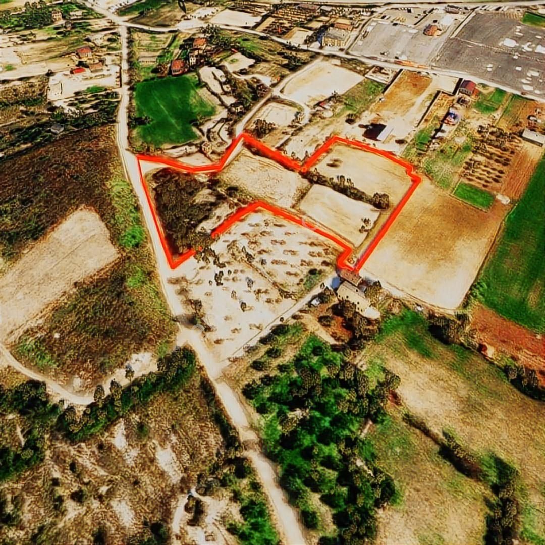 Çeşme Musallada Satılık Muhteşem Tarla - Görsel 4