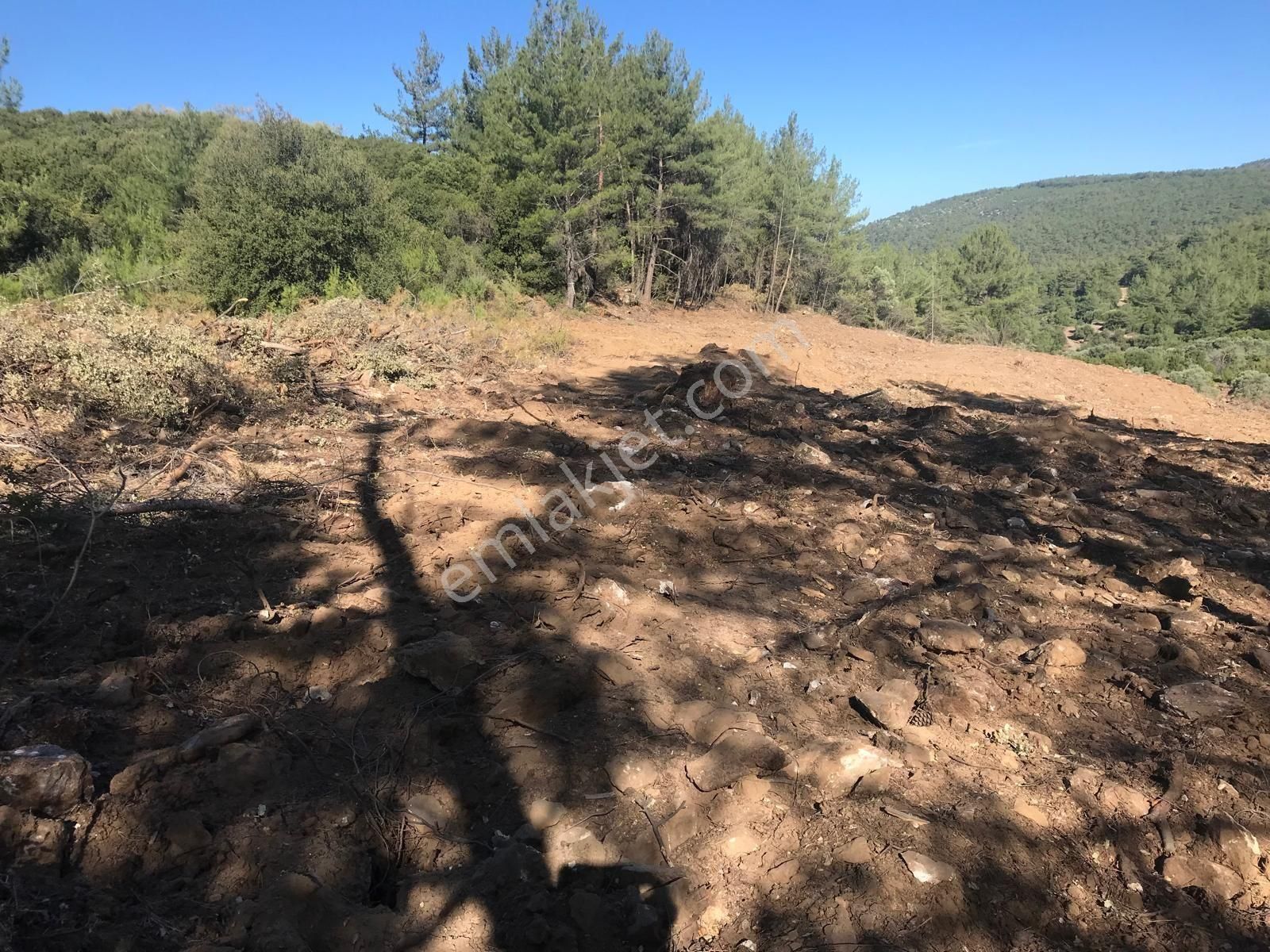 Milas Çamlıbelen Mahallesinde Satılık Tarla - Görsel 4