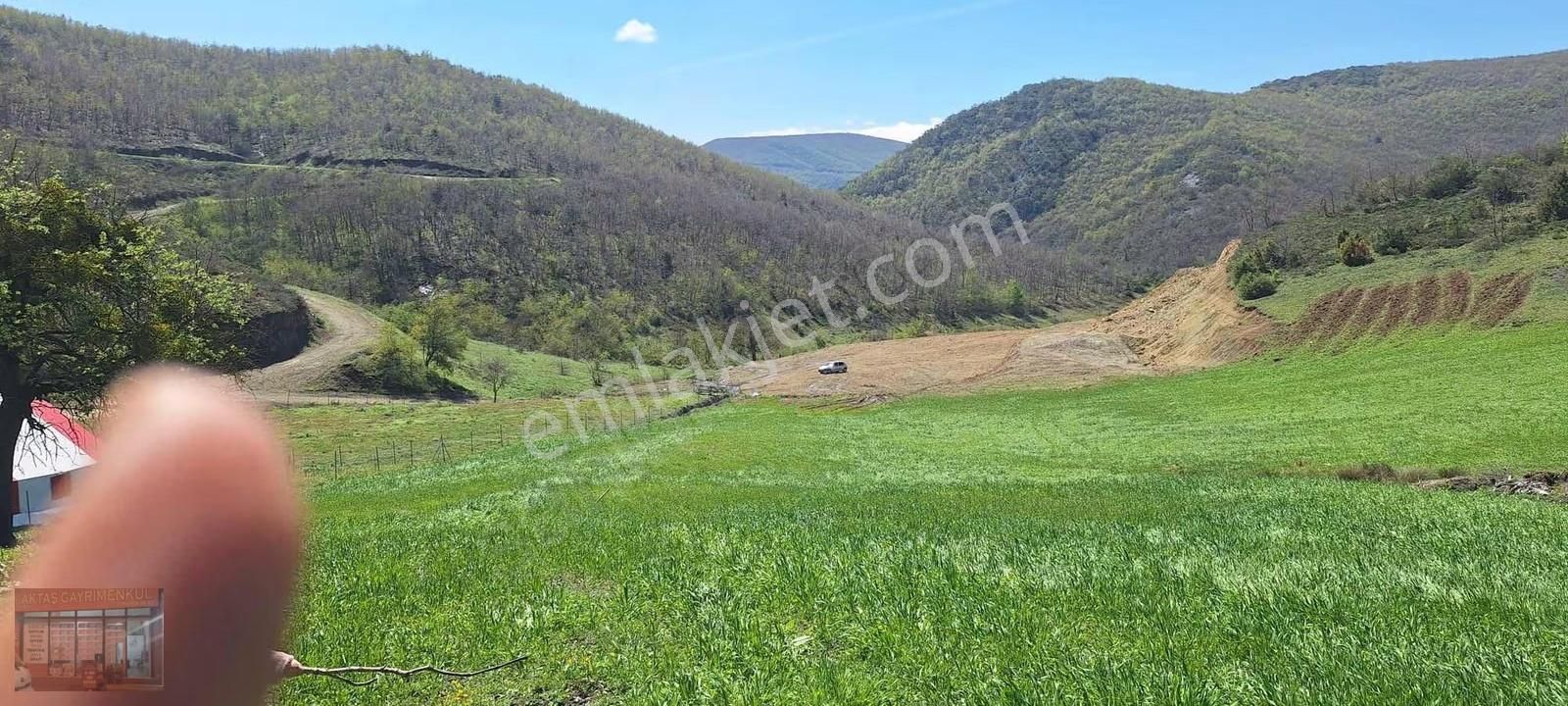 Bursa Yenişehir Burcun'da Satılık Tarla - Görsel 5