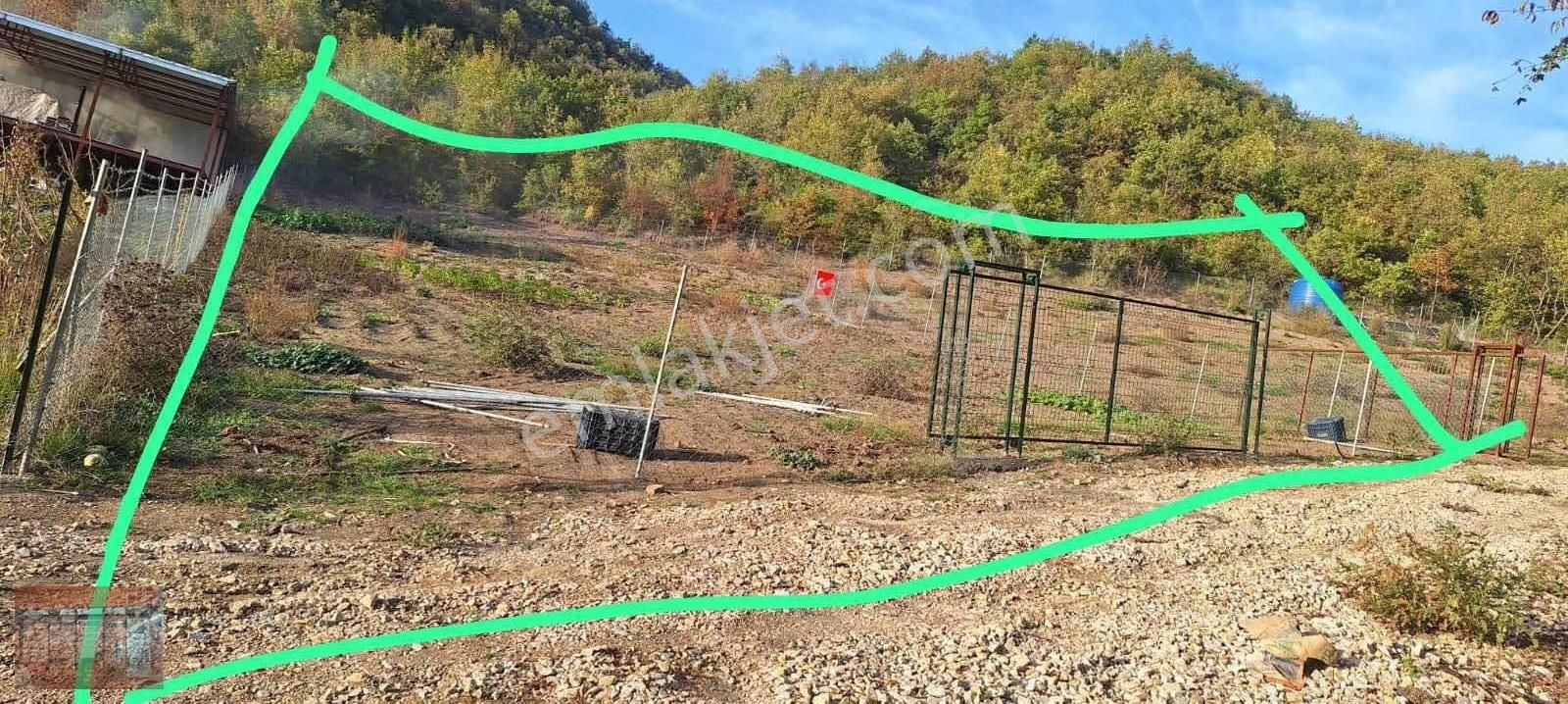 Bursa Yenişehir Burcun'da Satılık Tarla - Görsel 9