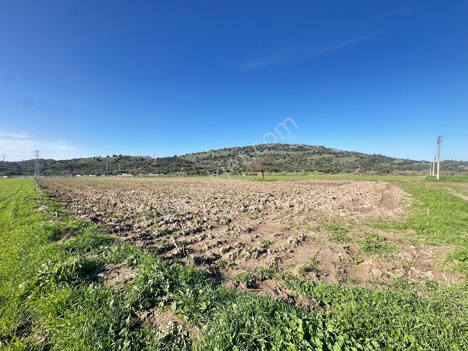 Milas Meşelik'te Köy Merkezıne Yakın 10.475 M2 Satılık Tarla - Görsel 4