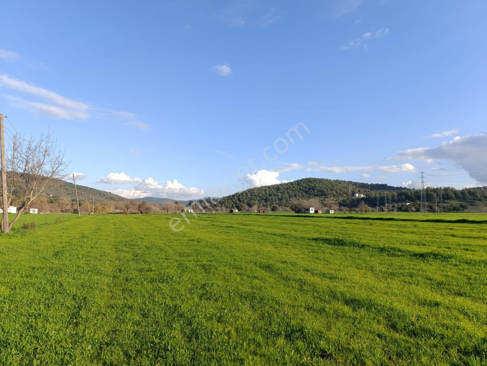 Milas Meşelik'te Köy Merkezıne Yakın 10.475 M2 Satılık Tarla - Görsel 6