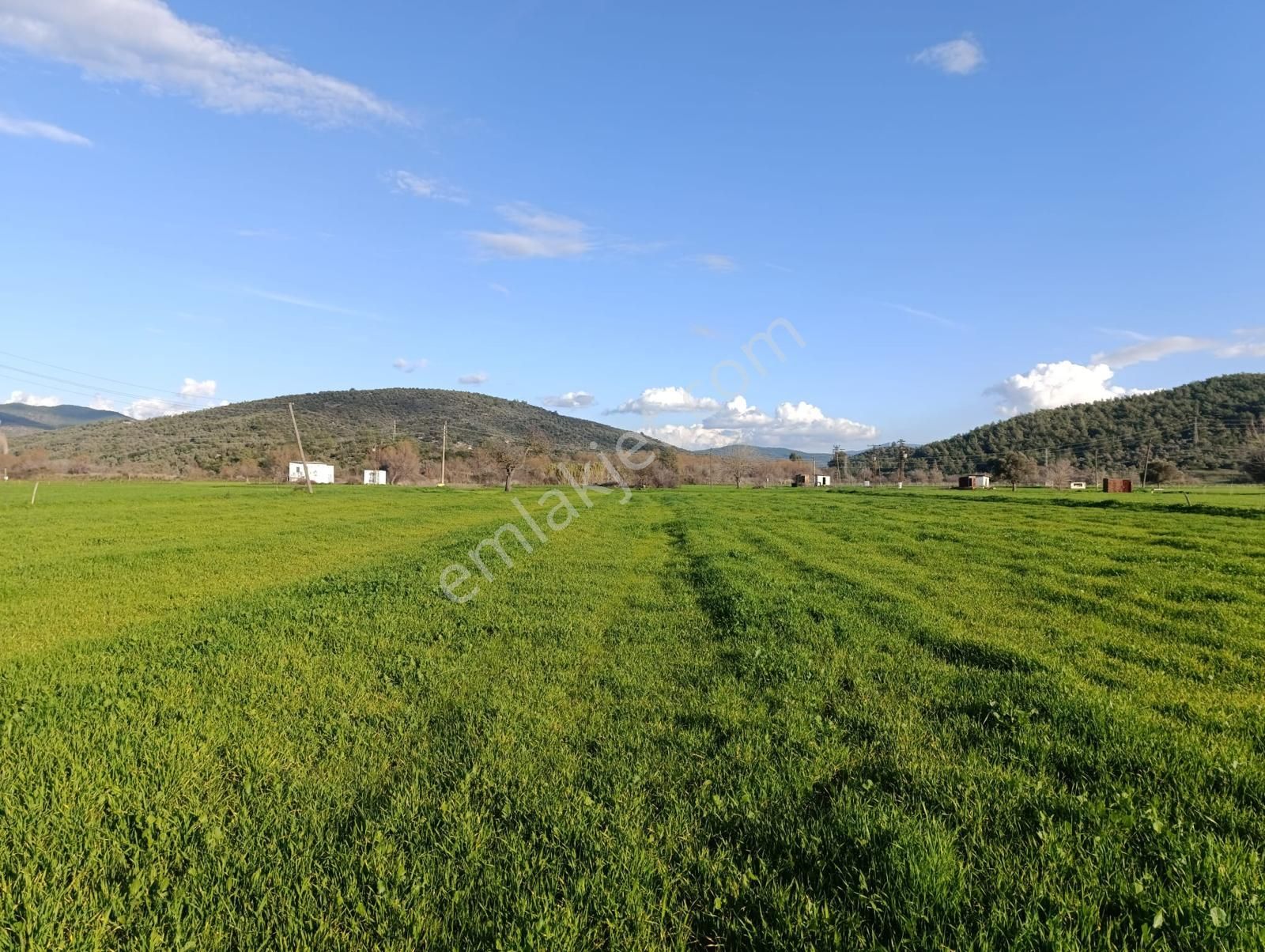 Milas Meşelik'te Köy Merkezıne Yakın 10.475 M2 Satılık Tarla - Görsel 7