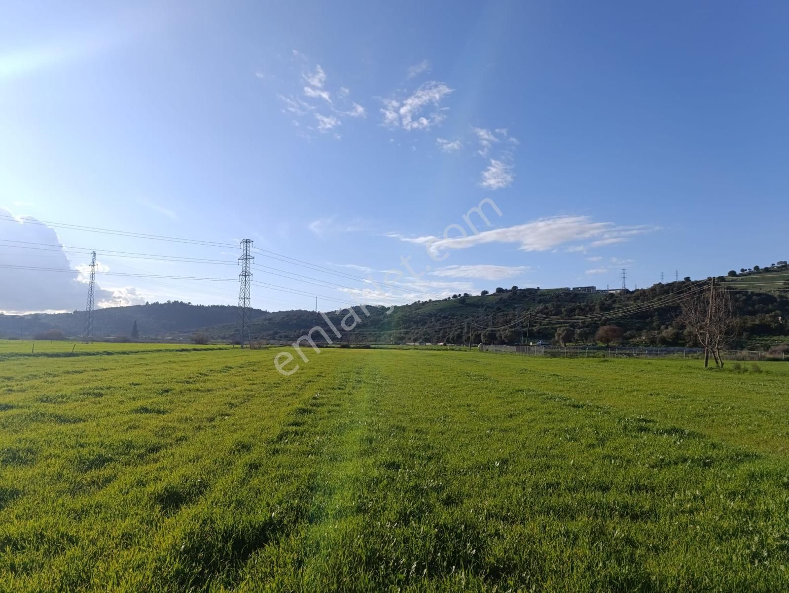 Milas Meşelik'te Köy Merkezıne Yakın 10.475 M2 Satılık Tarla - Görsel 9