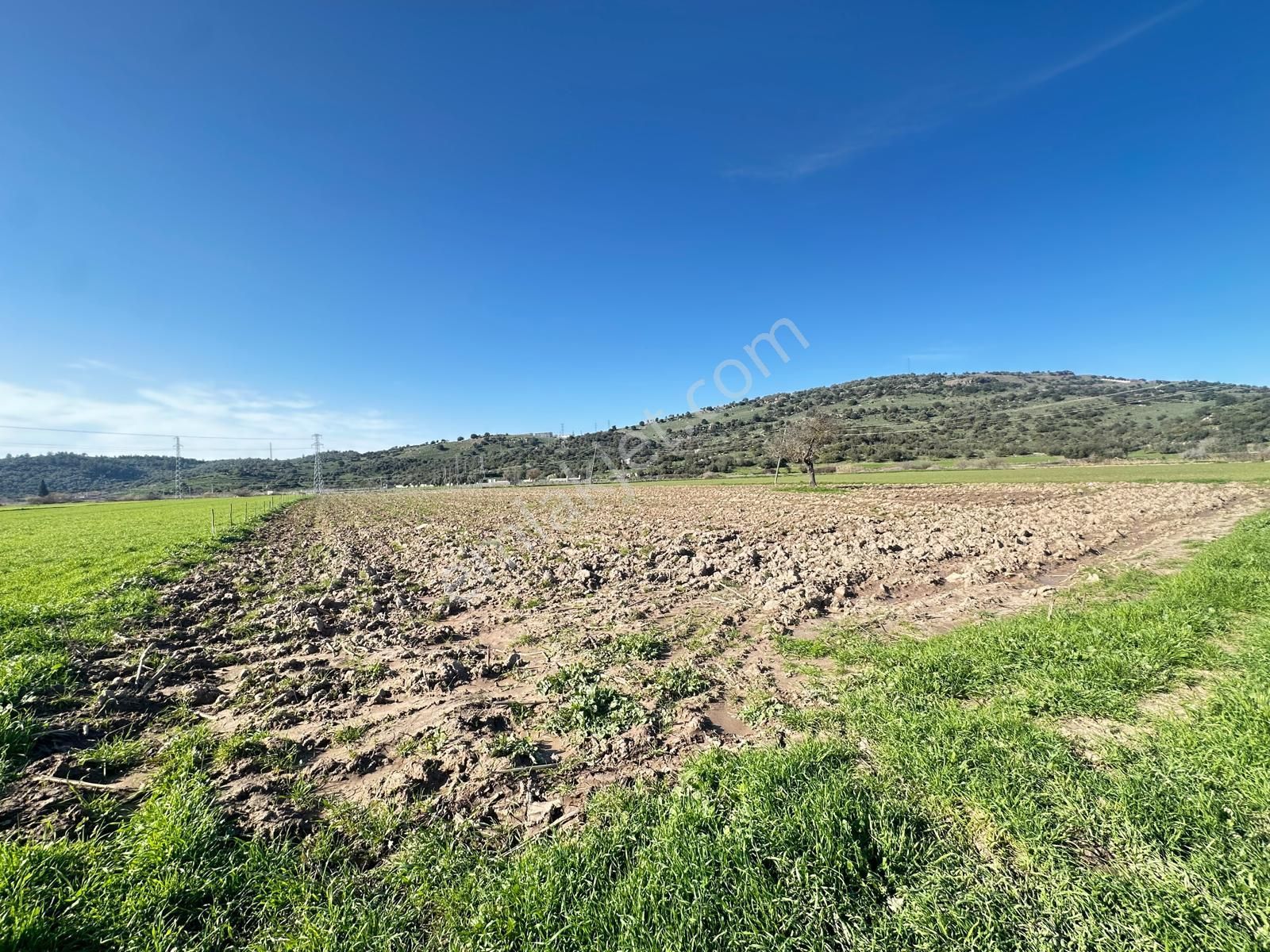 Milas Meşelik'te Köy Merkezıne Yakın 10.475 M2 Satılık Tarla - Görsel 5