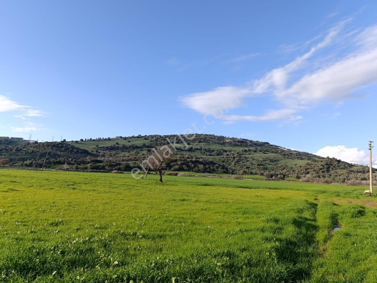 Milas Meşelik'te Köy Merkezıne Yakın 10.475 M2 Satılık Tarla - Görsel 2