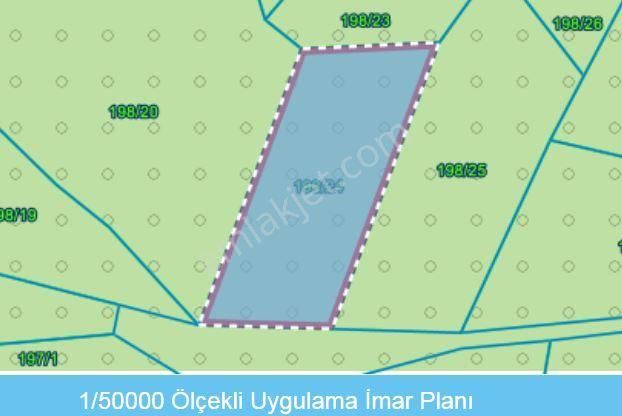 Gölcük Nüzhetiye'de Satılık 2605 M2 Doğa Manzaralı Yatırımlık Tarla - Görsel 4
