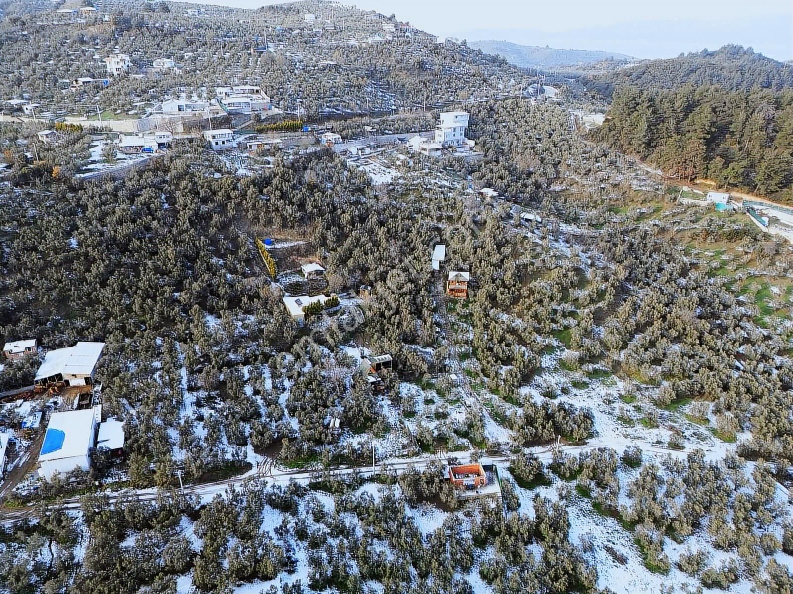 Koçak'tan Çepni'de Yola Cephe Deniz Manzaralı Hobi Bahçesi - Görsel 4