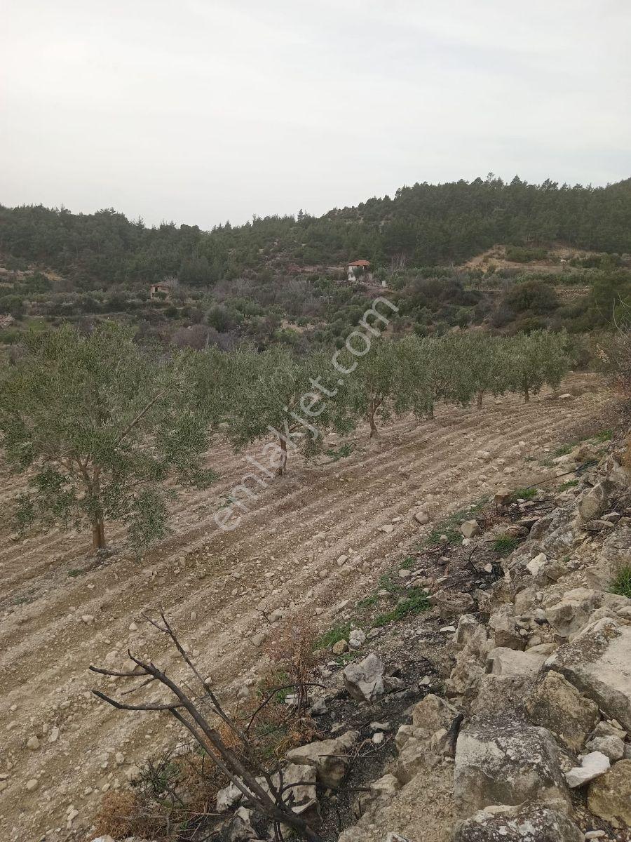 Yatırımlüx'den 16.000 M2 Ev+ Tarla - Görsel 17