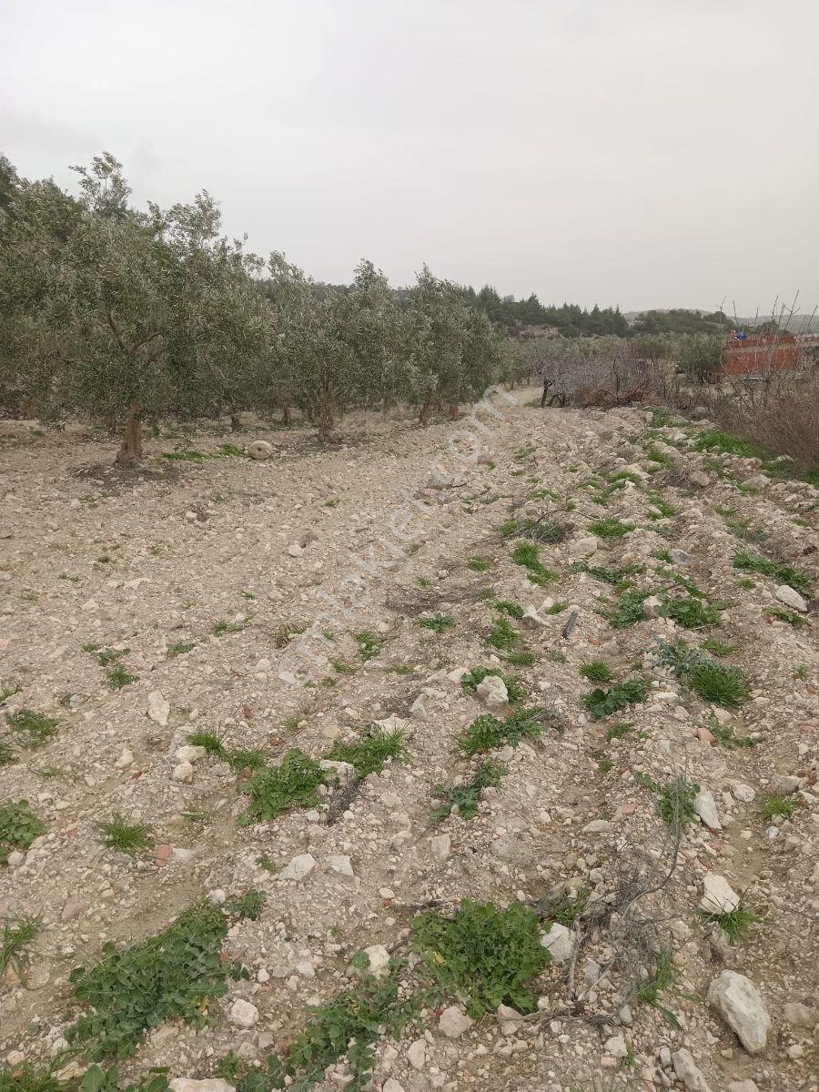Yatırımlüx'den 16.000 M2 Ev+ Tarla - Görsel 18