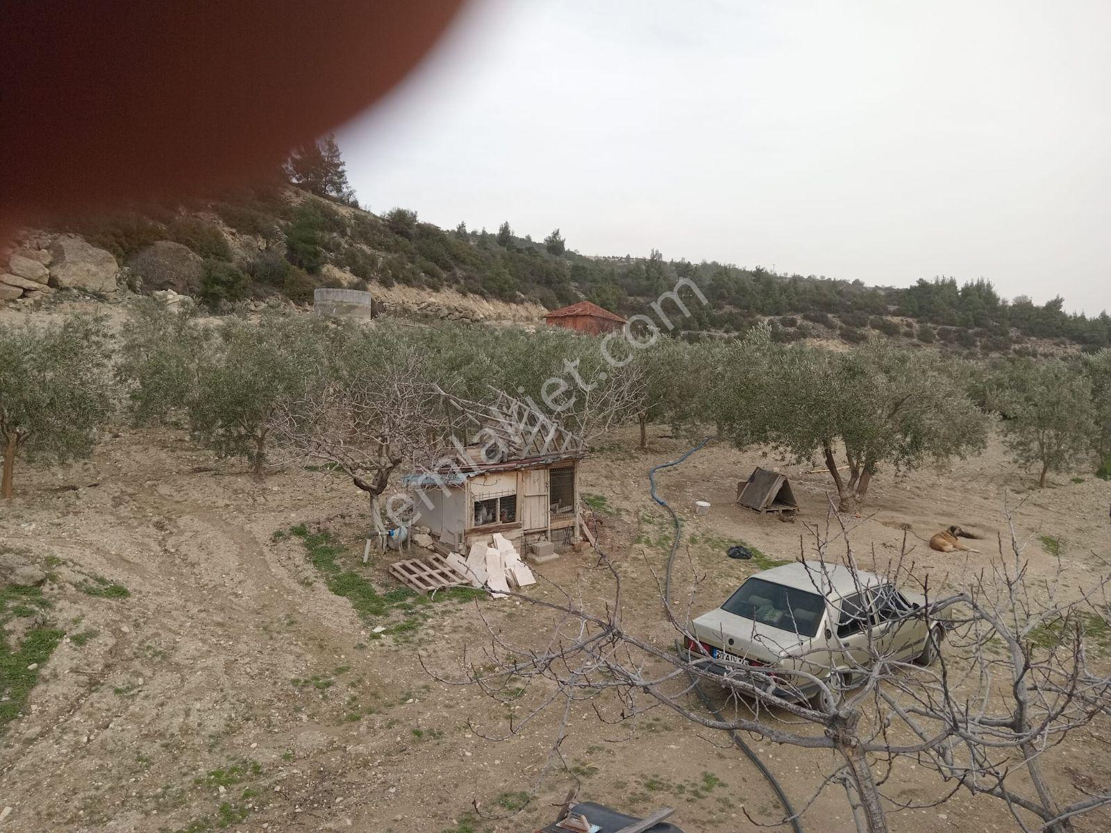 Yatırımlüx'den 16.000 M2 Ev+ Tarla - Görsel 13