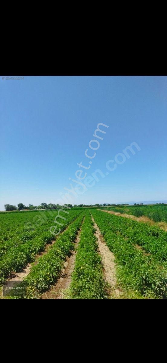 Kemalpaşa Ayaz Köy De Satılık 6.400 M2 Tarla - Görsel 10