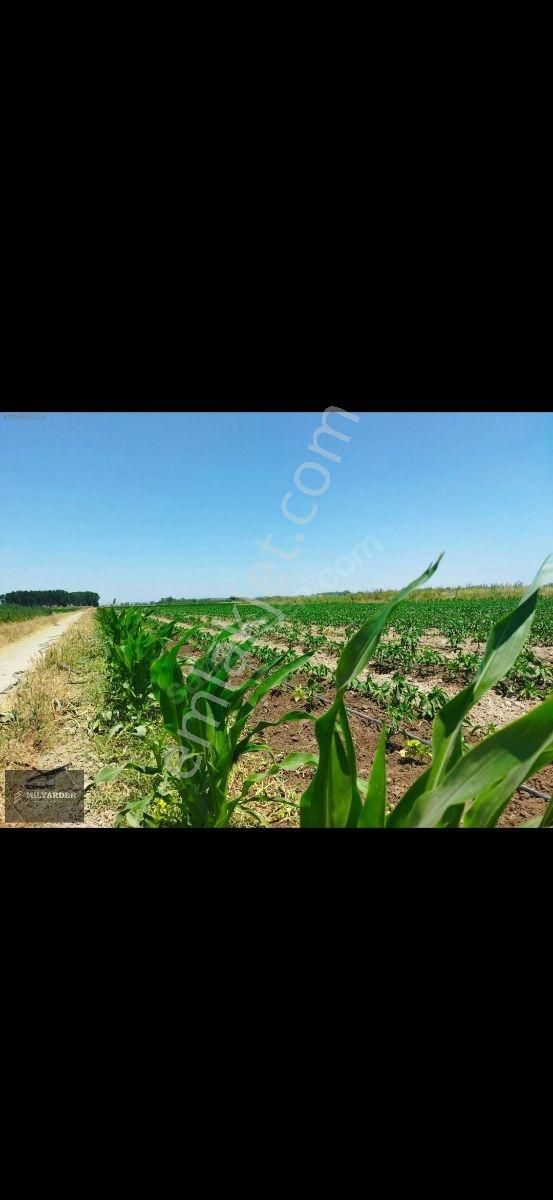 Kemalpaşa Ayaz Köy De Satılık 6.400 M2 Tarla - Görsel 7