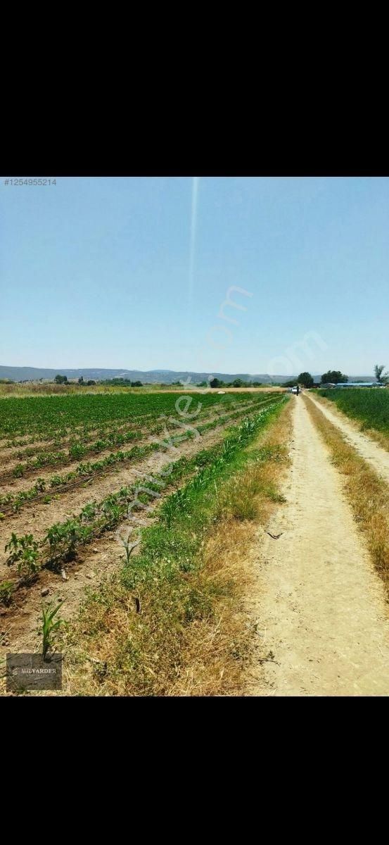 Kemalpaşa Ayaz Köy De Satılık 6.400 M2 Tarla - Görsel 4