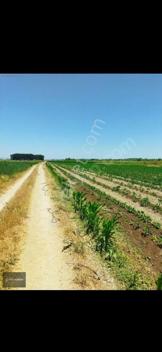 Kemalpaşa Ayaz Köy De Satılık 6.400 M2 Tarla - Görsel 12