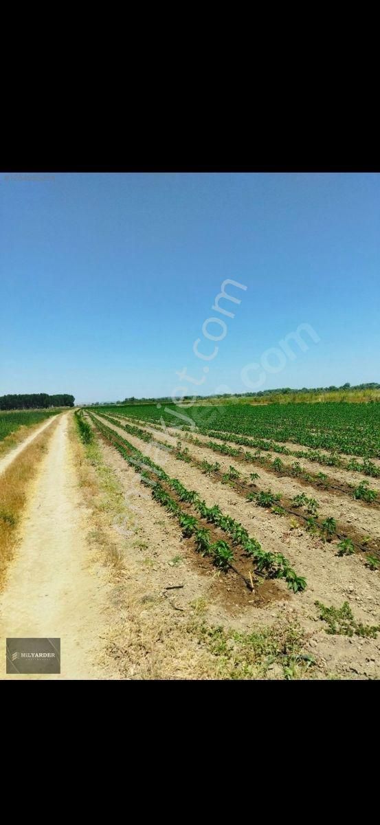 Kemalpaşa Ayaz Köy De Satılık 6.400 M2 Tarla - Görsel 16