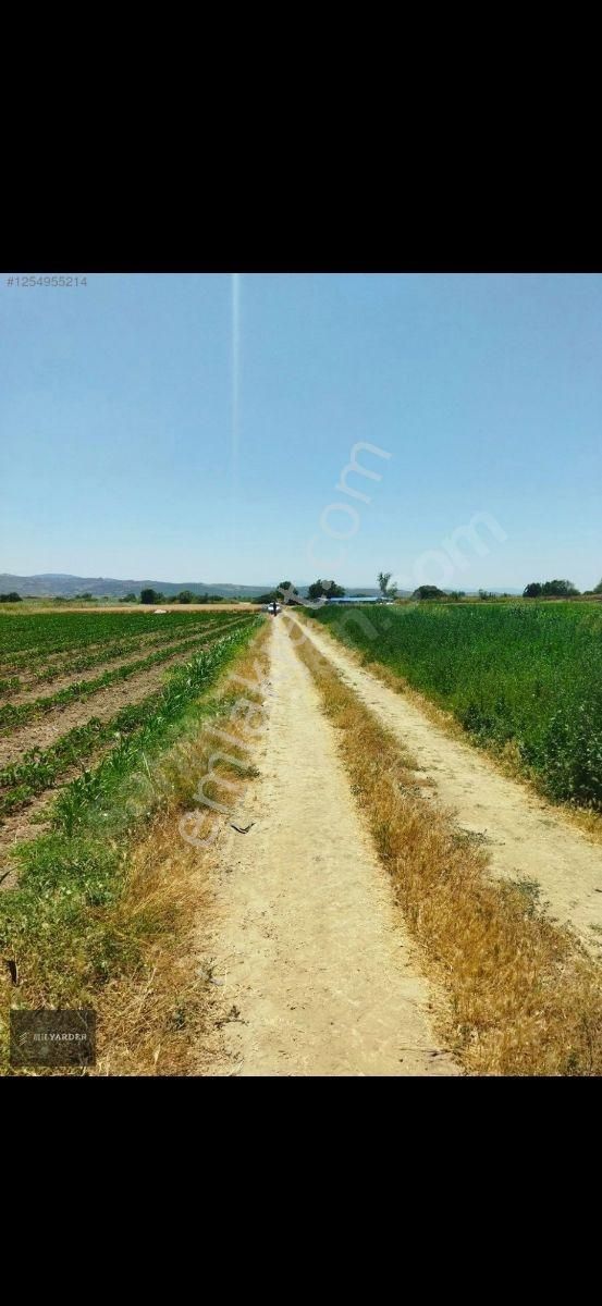 Kemalpaşa Ayaz Köy De Satılık 6.400 M2 Tarla - Görsel 3