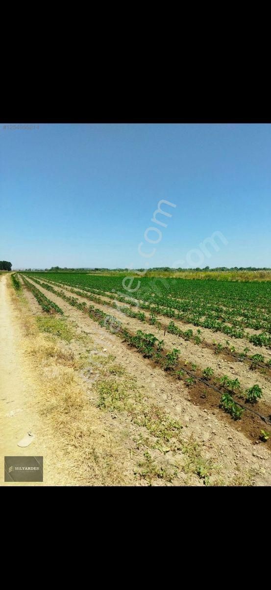 Kemalpaşa Ayaz Köy De Satılık 6.400 M2 Tarla - Görsel 22
