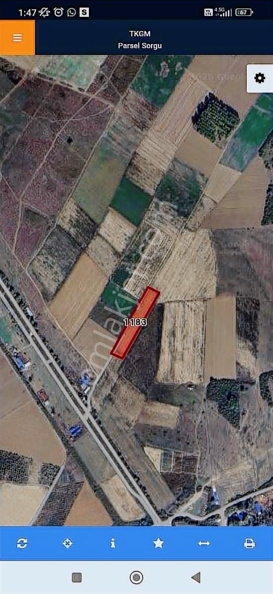 Kemalpaşa Ayaz Köy De Satılık 6.400 M2 Tarla - Görsel 21
