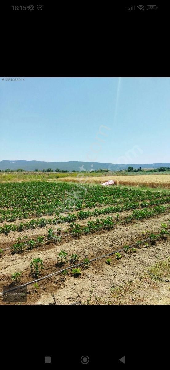 Kemalpaşa Ayaz Köy De Satılık 6.400 M2 Tarla - Görsel 17