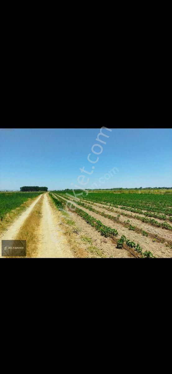 Kemalpaşa Ayaz Köy De Satılık 6.400 M2 Tarla - Görsel 11
