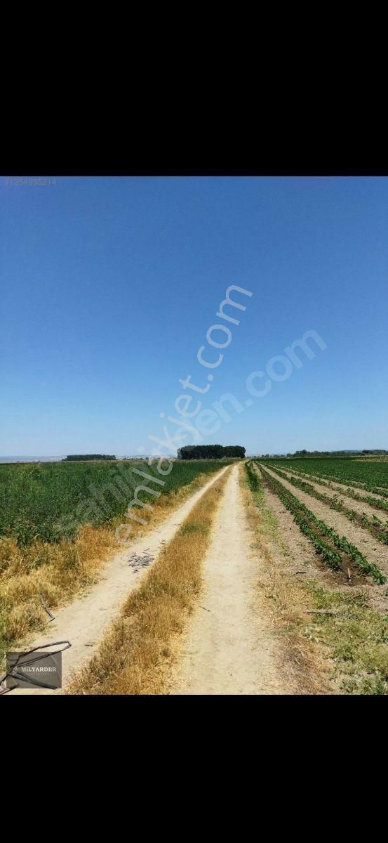 Kemalpaşa Ayaz Köy De Satılık 6.400 M2 Tarla - Görsel 15