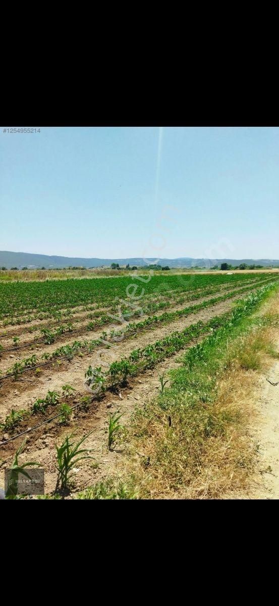 Kemalpaşa Ayaz Köy De Satılık 6.400 M2 Tarla - Görsel 25