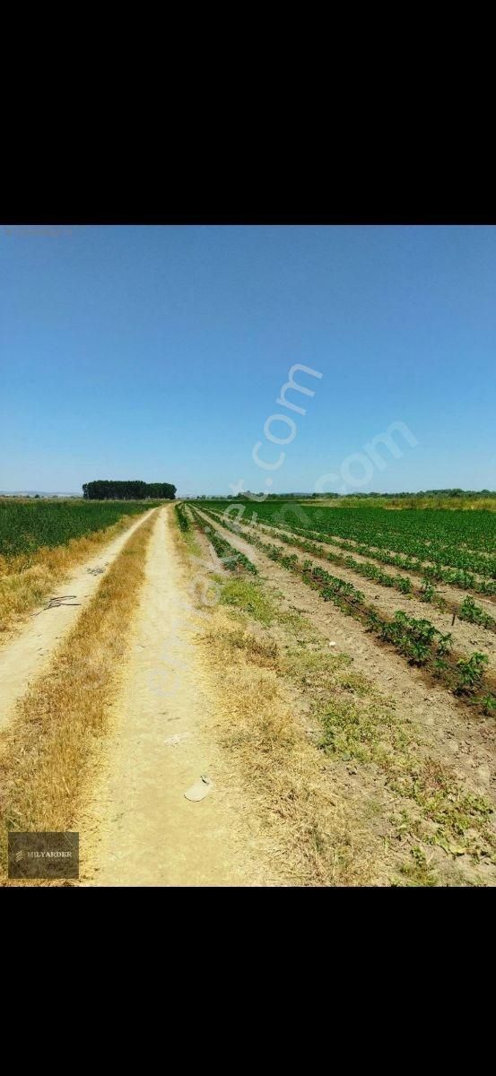 Kemalpaşa Ayaz Köy De Satılık 6.400 M2 Tarla - Görsel 20
