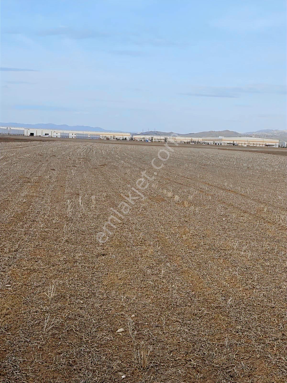 Kahraman Kazan Kışla Mahallesi 7500m2 Tek Tapu Satılık Tarla