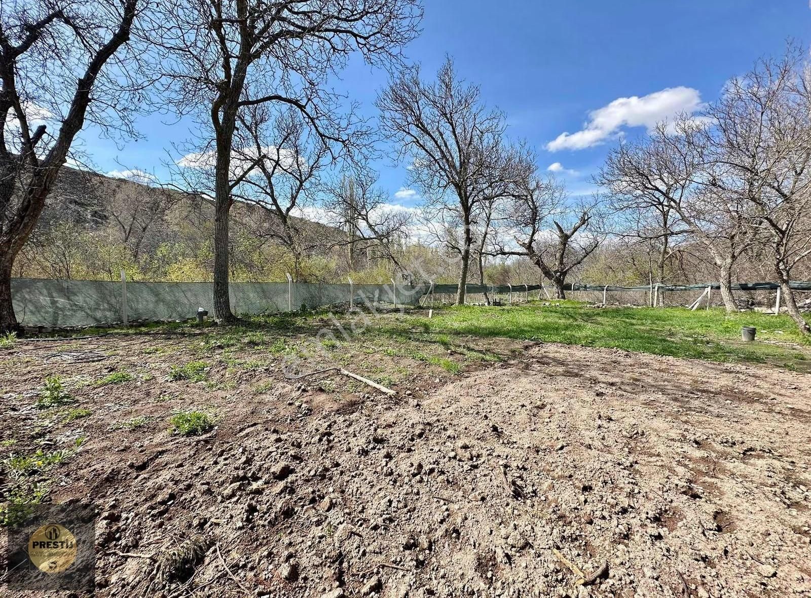 789 M2 Tek Tapu - Doğa İle İç İçe - Suyu Çekili - Uygun Bahçe - Görsel 5