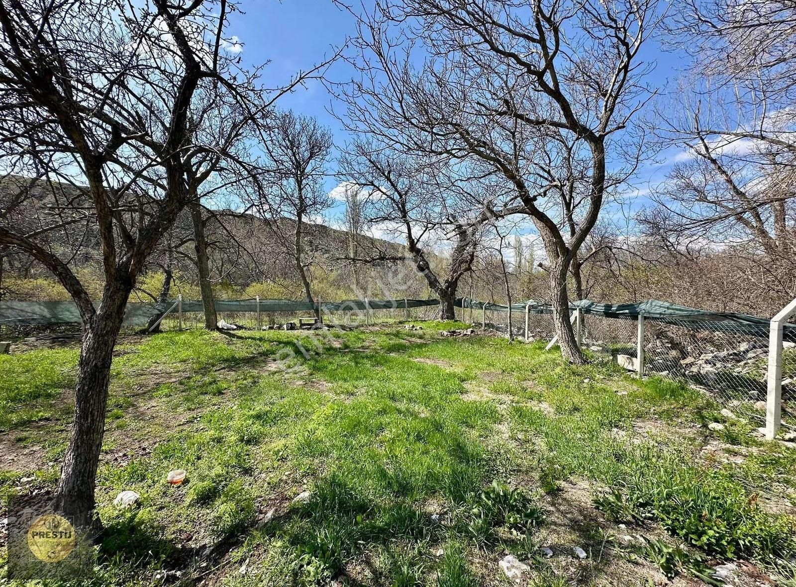 789 M2 Tek Tapu - Doğa İle İç İçe - Suyu Çekili - Uygun Bahçe - Görsel 13