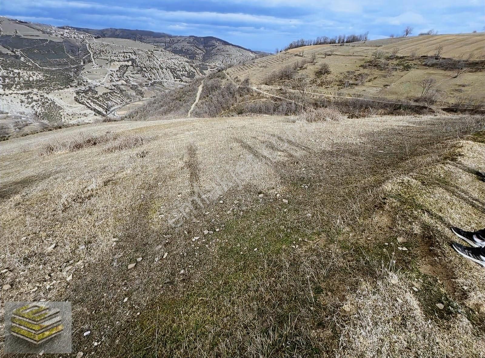 Ekipten Canik Kızıloğlakta Emsalsiz Rakam 1841 M2 Vadi Manzaralı - Görsel 4