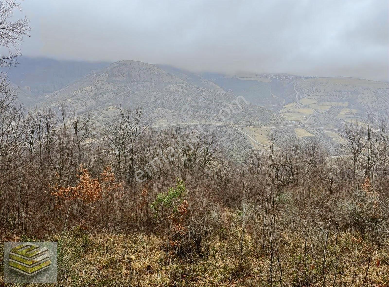 Ekipten Satılık 1298 M2 Tarla Orman İçi Kafa Dinlemelik Yer - Görsel 6