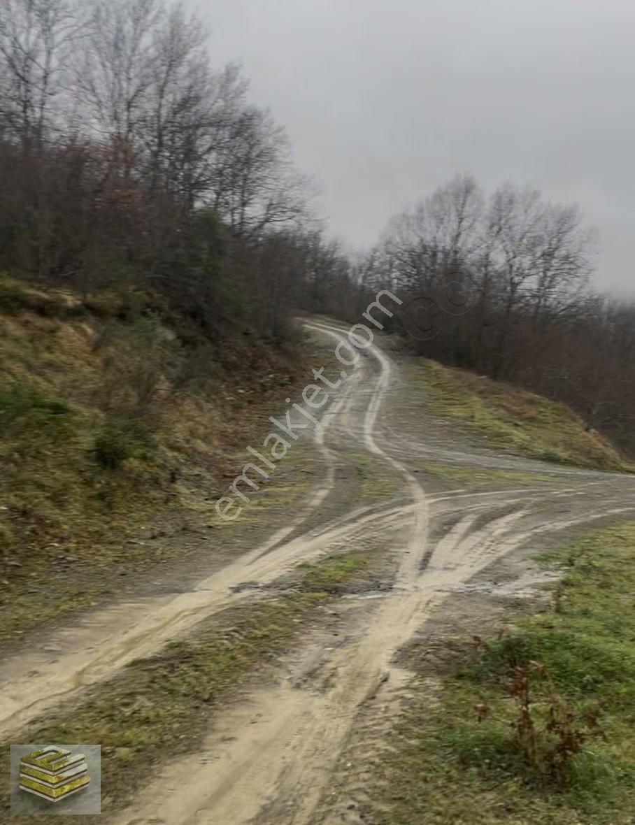 Ekipten Satılık 1298 M2 Tarla Orman İçi Kafa Dinlemelik Yer
