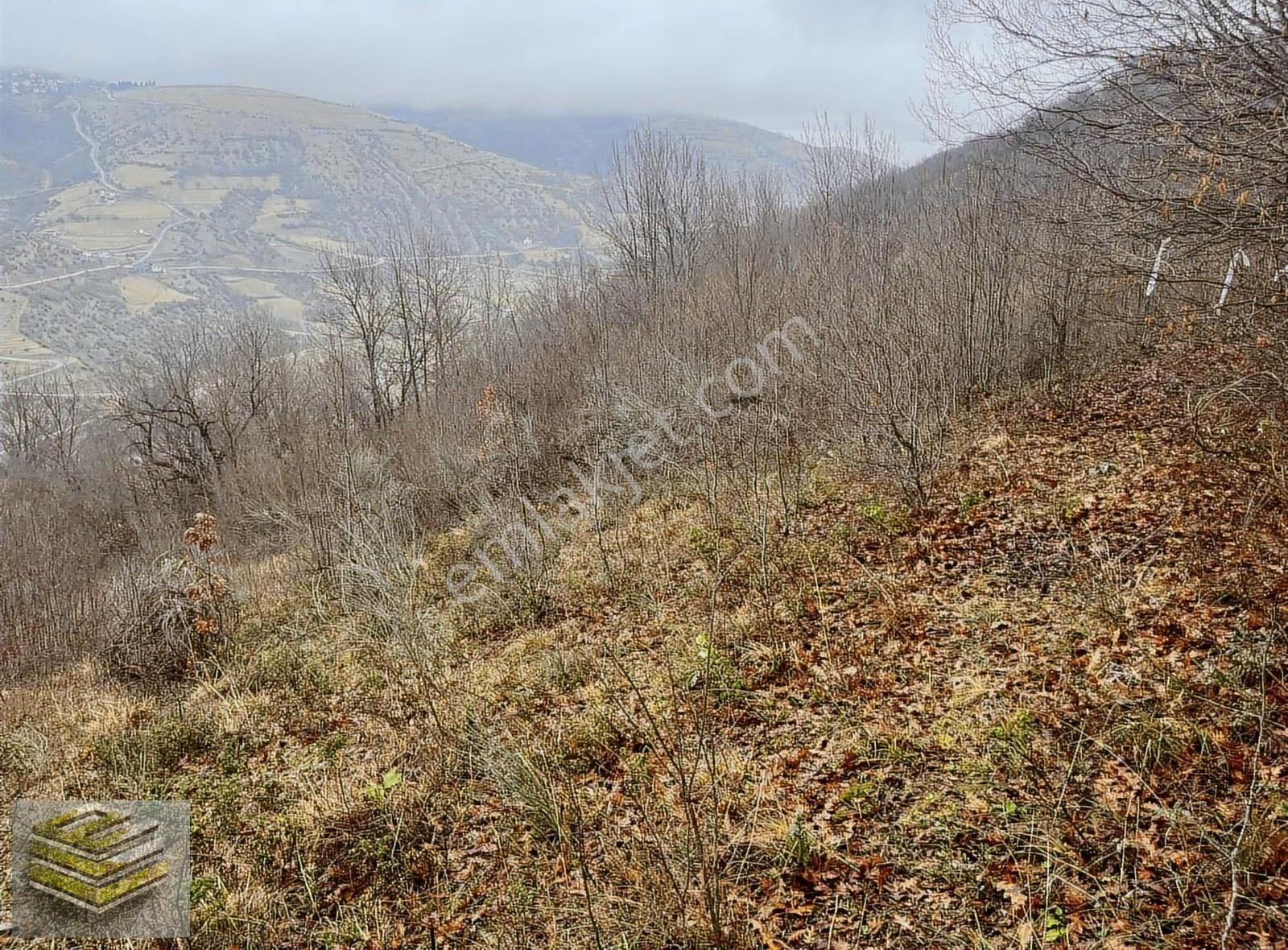 Ekipten Satılık 1298 M2 Tarla Orman İçi Kafa Dinlemelik Yer - Görsel 7